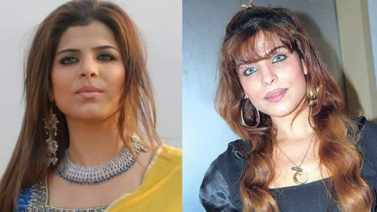 Bollywood Actress Laila Khan Tragic Murder Story