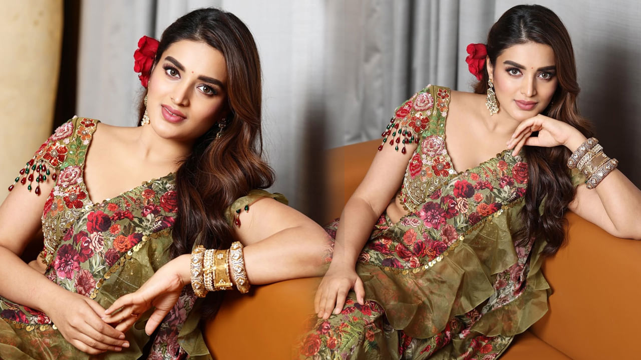 Nidhi Agarwal’s Career Struggles